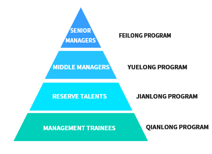 1585019357810039639.png 人才战略.png